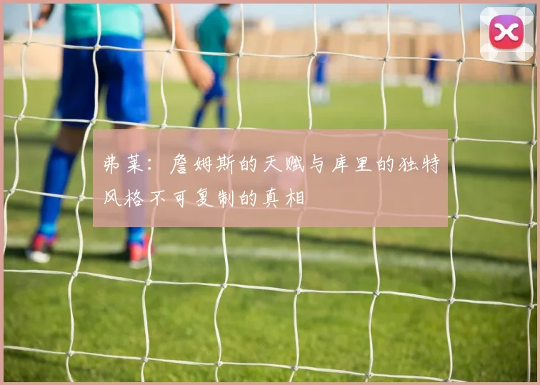弗莱：詹姆斯的天赋与库里的独特风格不可复制的真相